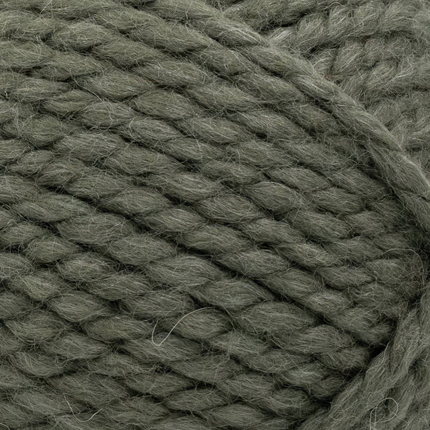 Lion Brand Yarn Wool-Ease Thick & Quick Seaweed 3 Pack