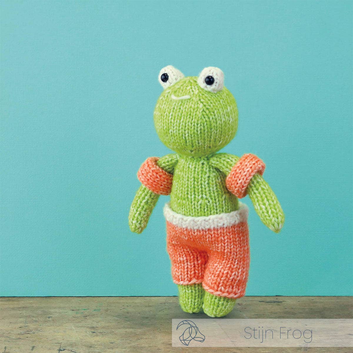 DIY Knitting Kit - Stijn Frog