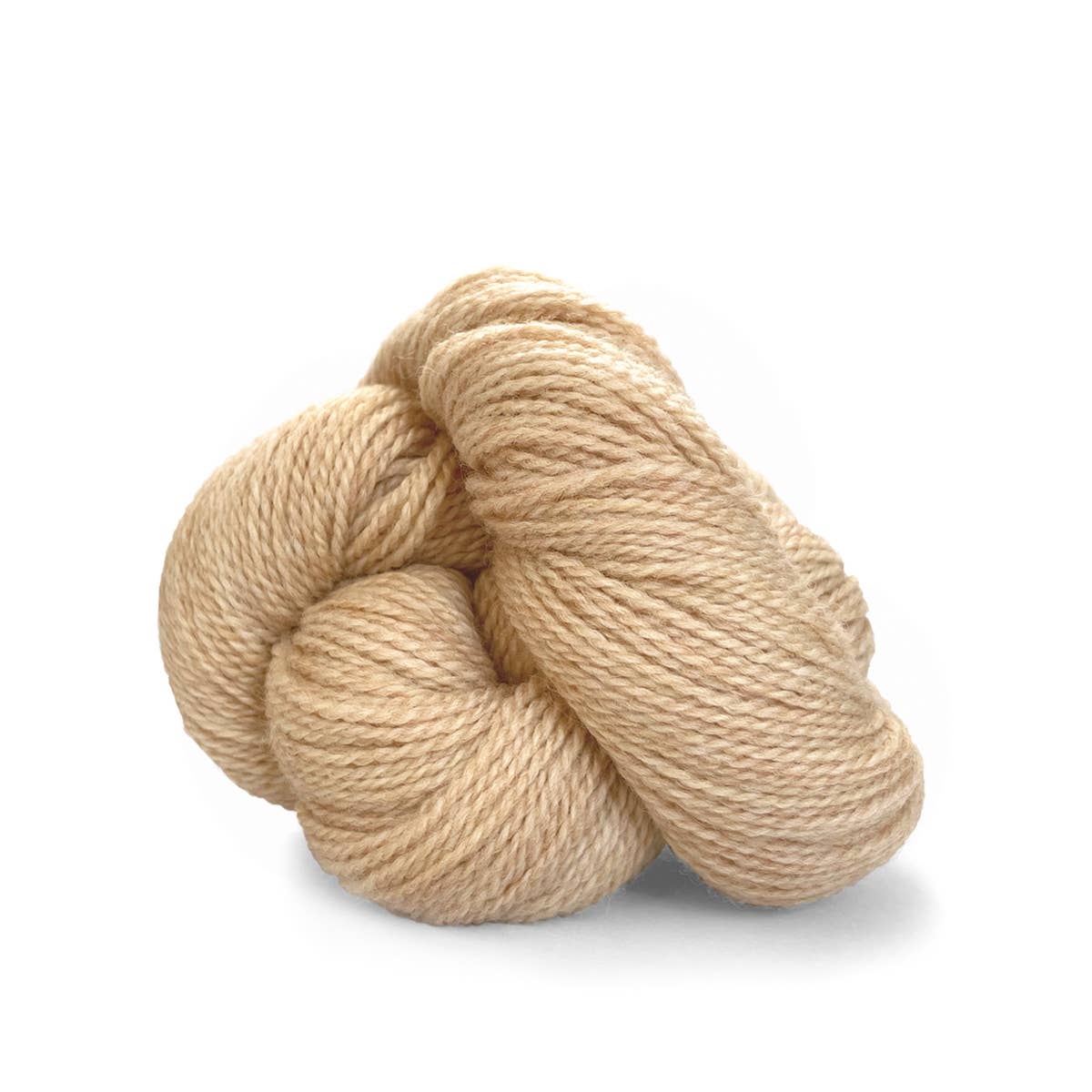 Camper: Fingering weight 100% wool yarn