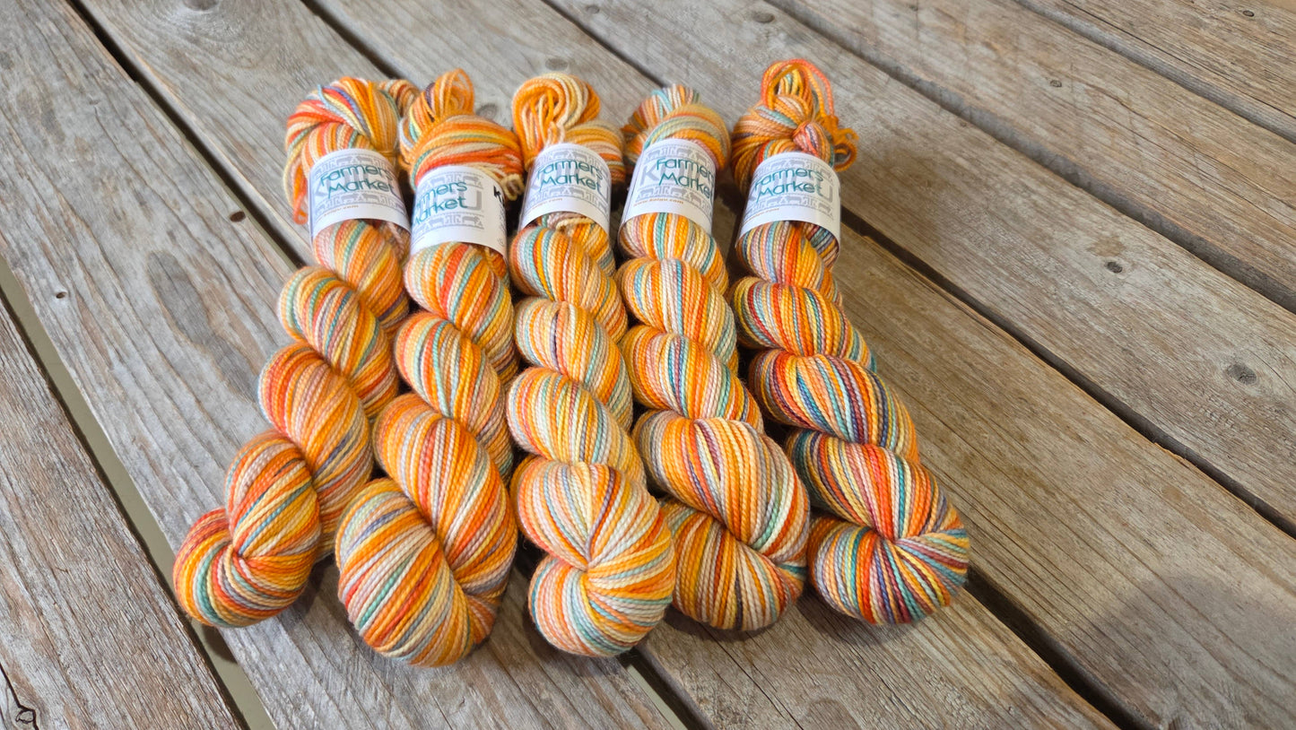 Koigu Road Trip Colour Series - KPPPM fingering