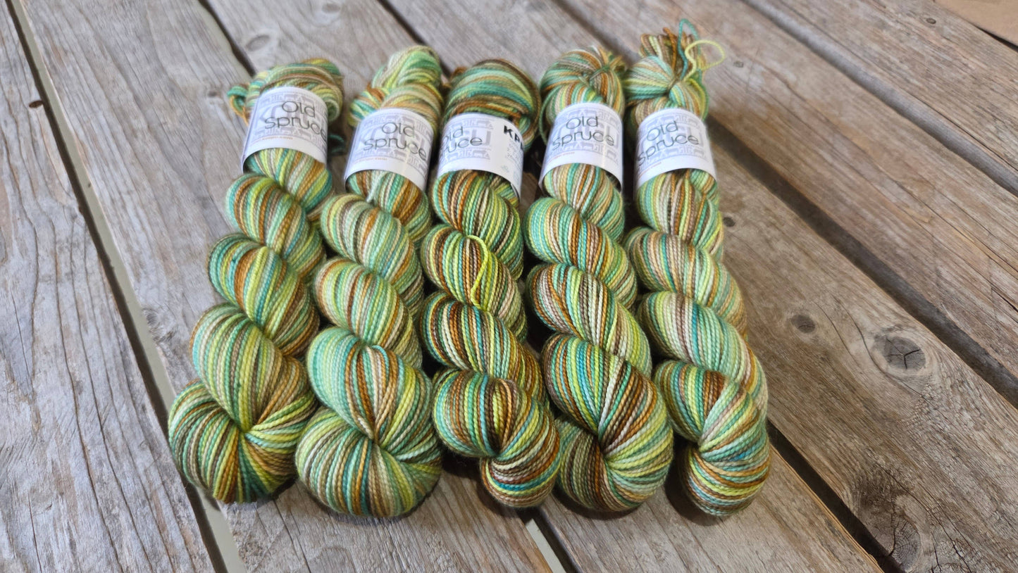 Koigu Road Trip Colour Series - KPPPM fingering