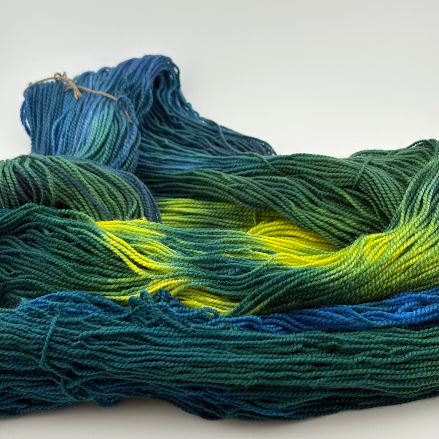 Rainforest Hand Dyed Fingering Weight Yarn
