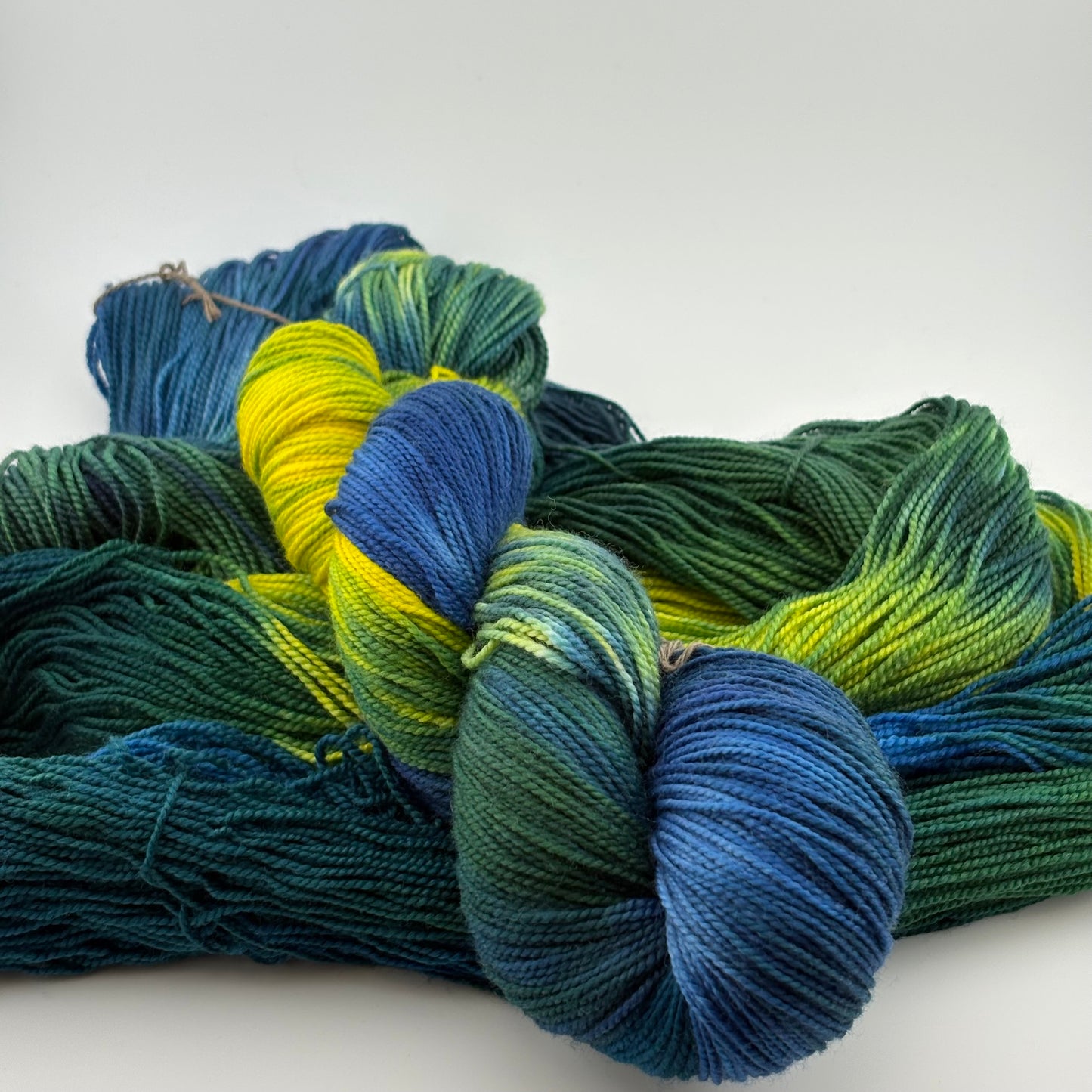 Rainforest Hand Dyed Fingering Weight Yarn