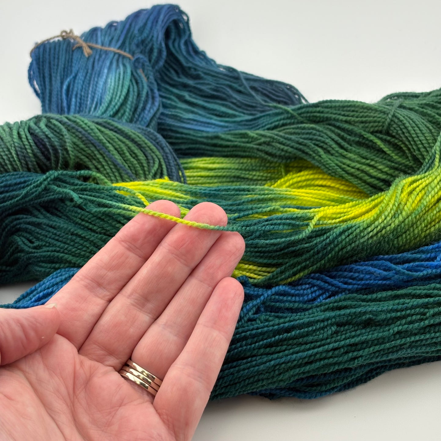 Rainforest Hand Dyed Fingering Weight Yarn
