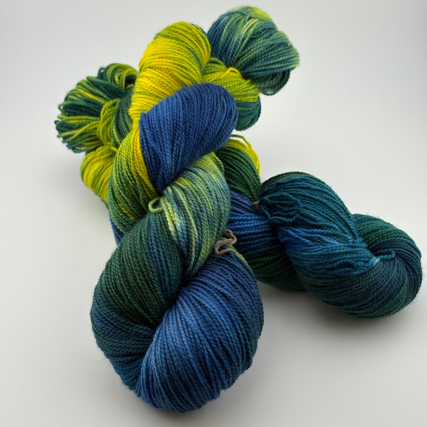 Rainforest Hand Dyed Fingering Weight Yarn