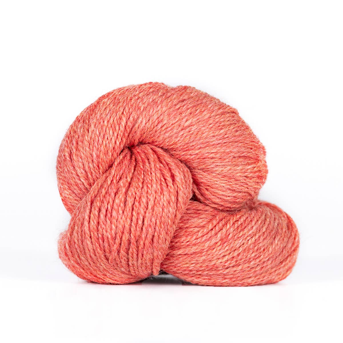 Camper: Fingering weight 100% wool yarn