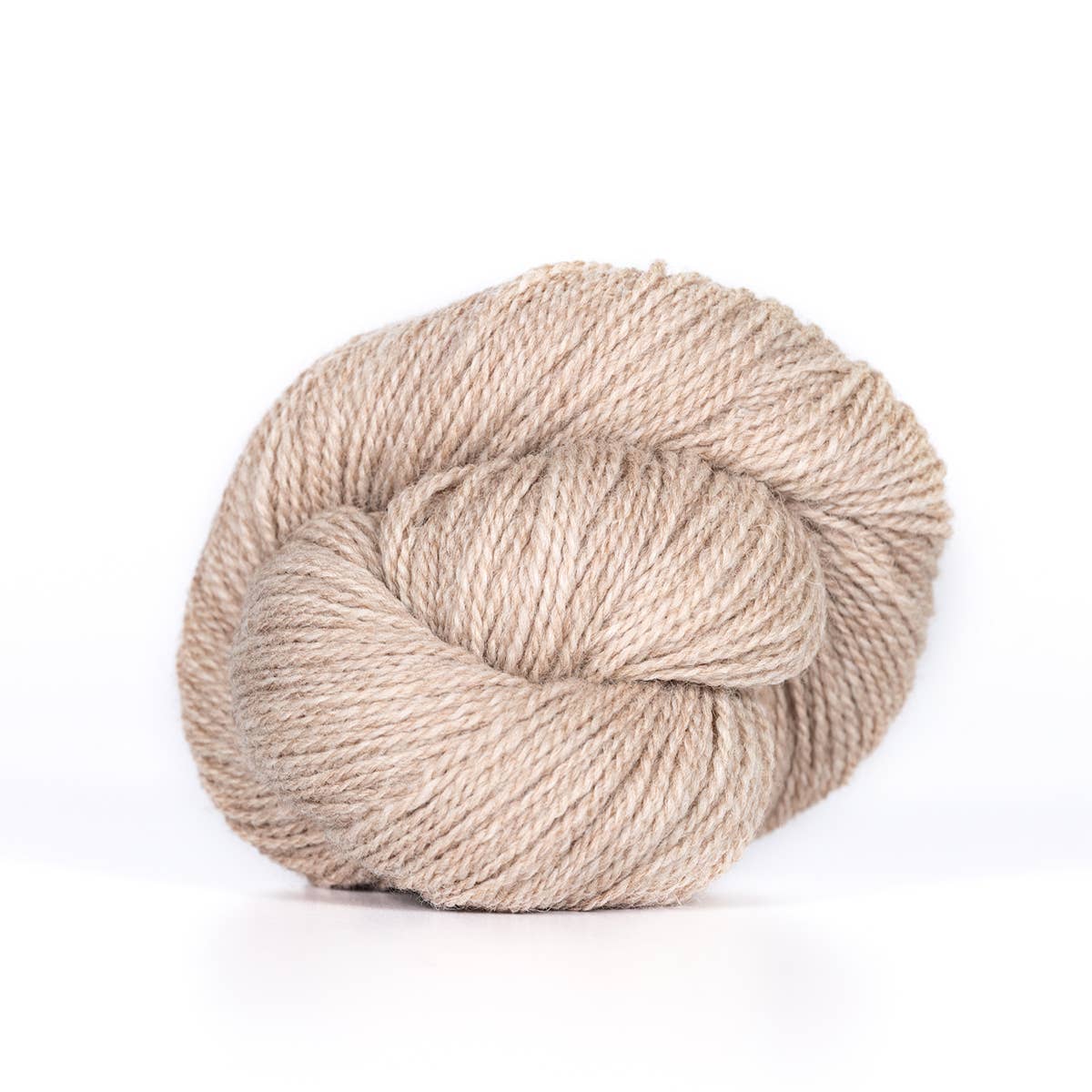 Camper: Fingering weight 100% wool yarn