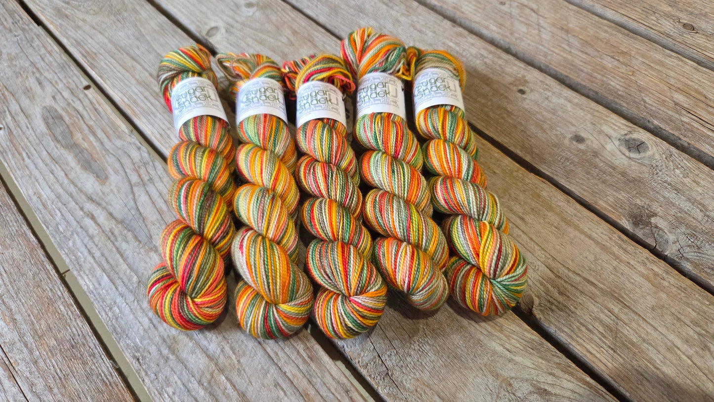 Koigu Road Trip Colour Series - KPPPM fingering
